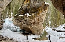 Discover Banff National Park Day Trip From Calgary 