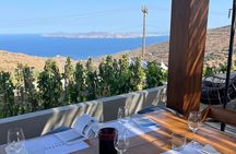 Wine Tasting in Tinos: Sea-View Terrace Tour & Sommelier Guide