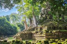 Angkor Wat Full-Day Private Tour – Bayon & Ta Prohm Highlights