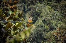 tour to Mindo (Cloud forest) from Quito - Adventure & Nature.