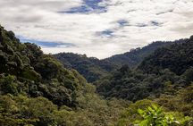 tour to Mindo (Cloud forest) from Quito - Adventure & Nature.