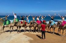 Full Day Private Tour of Tangier