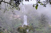 La Chorrera & Chiflon Waterfall Hike -4 hours