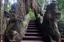 Benoa Port Shore Excursion - Private Driver