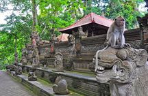 Benoa Port - Shore Excursions - Best of Bali