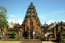 Benoa Port Shore Excursion - Private Driver