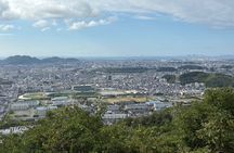 Beyond Himeji Castle:Nine-Stars Destiny & Hidden Scenic Gems Tour