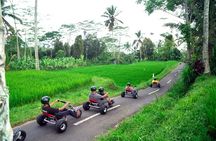 Ubud Jungle Cart Adventure + Volcano view Tour.