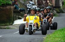 Ubud Jungle Cart Adventure + Volcano view Tour.