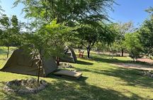 The Top Rated 6-Day Serengeti Budget Camping Safari in Tanzania