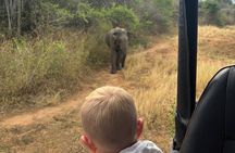 Udawalawa National Park Safari from Ahungalla,kosgoda,bentota