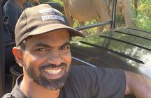 Udawalawa National Park Safari from Ahungalla,kosgoda,bentota