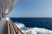 From Marsa Alam: Marsa Mubarak Snorkeling : Sea Turtles & Dugong