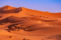 5 Day Private Morocco Tour Casablanca to Marrakech