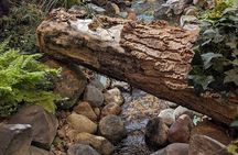 1 Day Drumheller Private Group Custom Tour: Calgary to Badlands