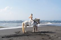 From Ubud 1 Hour Horse Riding at The Beach Experiences