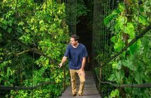 Sensoria Rainforest Hiking and Natural Hot Springs