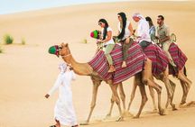 Doha Desert Safari Camel Ride and Sand Boarding