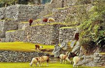 1 Day Machu Picchu Tour from the Sacred Valley