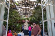 Todos Santos Magical Town from Los Cabos with Baja Culture & Art