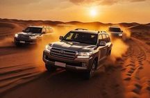 Evening Dune Bashing and Camel Ride in Dubai with BBQ Dinner