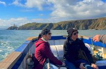 Ireland's Eye and Howth Coastal Boat Tour