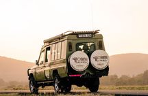 5-Day Private Northern Tanzania Safari from Arusha