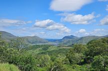 Private Tour to Dingle & Slea Head from Cork