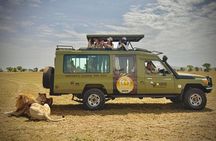 5-Day Private Northern Tanzania Safari from Arusha