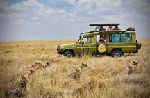 3-Day Classic Serengeti Safari