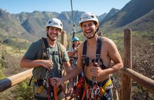 Cape Canopy Ziplining and Cheetah Outreach Tour