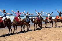 Tangier Private Full-Day Tour Local Guide Camel Ride Port Pickup