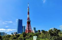 Tokyo Customized and Private Tour by Car with Driver Guide
