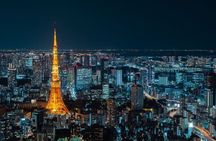 Tokyo Customized and Private Tour by Car with Driver Guide