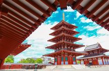 Tokyo Customized and Private Tour by Car with Driver Guide