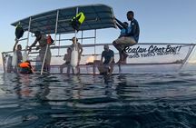 Roatan Clear Boat & Snorkeling Tour with Island Visits