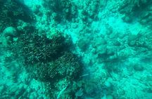 Roatan Clear Boat & Snorkeling Tour with Island Visits