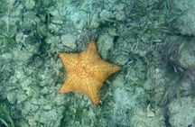 Roatan Clear Boat Tour