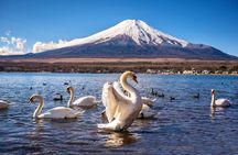 Mt. Fuji Scenic Tour: Lakes, Oshino Hakkai & Chureito PagodaTour