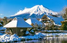 Mt. Fuji Scenic Tour: Lakes, Oshino Hakkai & Chureito PagodaTour