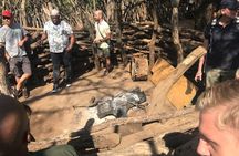 Day trip to Eswatini from Maputo