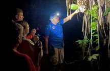 Night Hike Cockscomb Basin Wildlife Sanctuary 