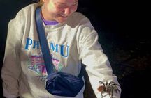 Night Hike Cockscomb Basin Wildlife Sanctuary 