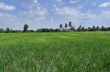 Cu Chi Tunnels & Mekong Eco Tour: Non-Touristy and Small Group