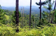 Cockscomb Wildlife Sanctuary 