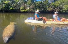 Lovers Key Guided Eco Tour