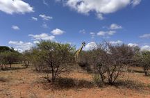 Johannesburg to Dinokeng Big Five Safari Adventure