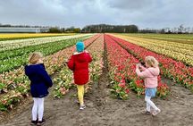 Amsterdam Private Tour to Keukenhof, Tulip Fields and Windmills