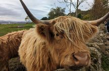 Private Tour of Scottish Highlands, Lochs, Falls from Edinburgh