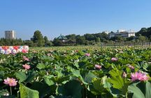 Tokyo: Private Ueno Highlights & Local Gem Walking Tour